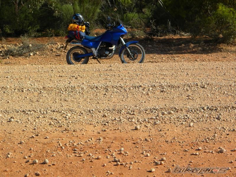 Photo 2329306