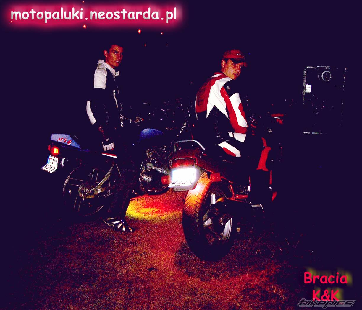 Photo 232931