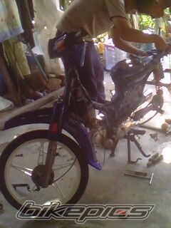 Photo 2329357