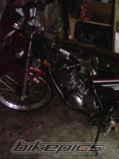 Photo 2329358