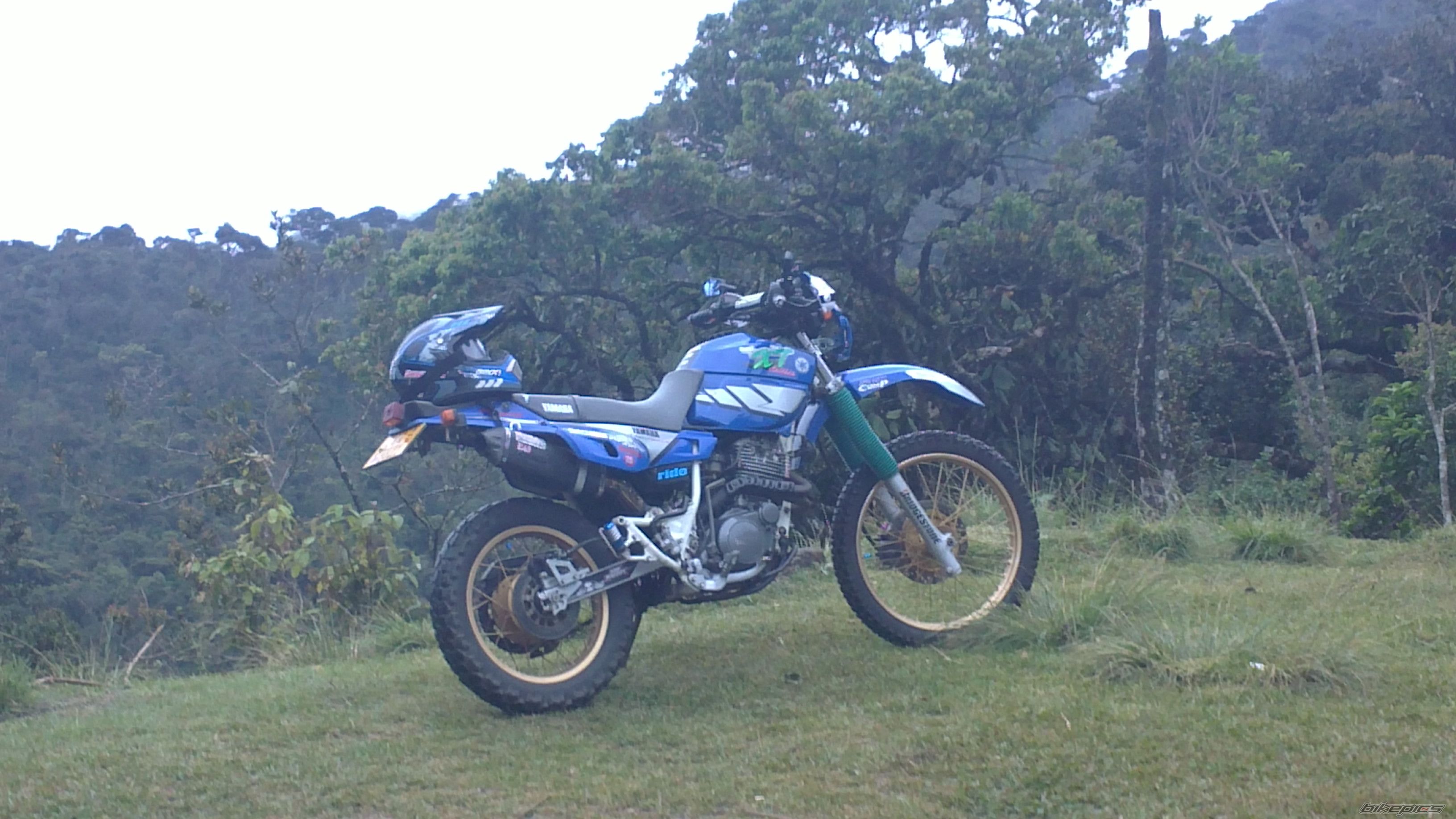Photo 2329375