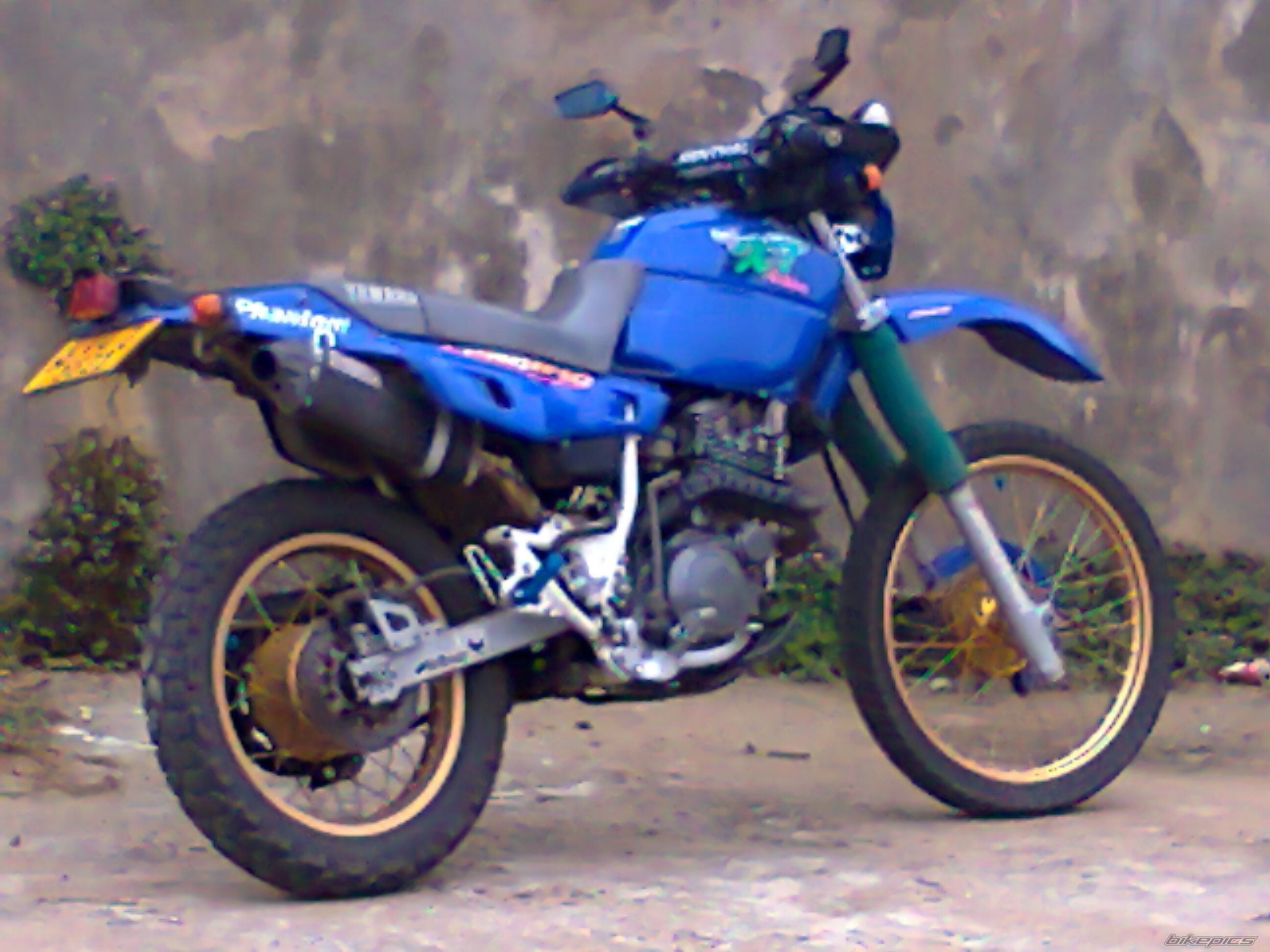 Photo 2329378