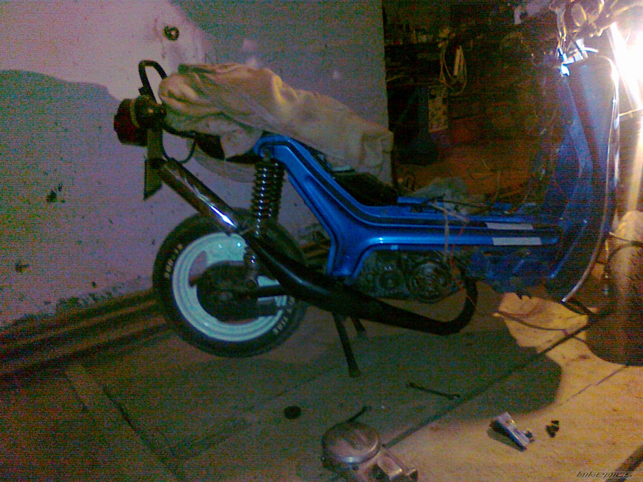 Photo 2329438