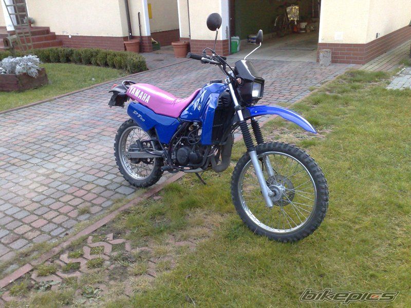 Photo 2329474