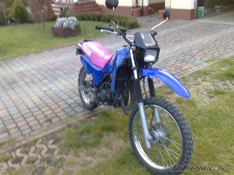 Photo 2329475