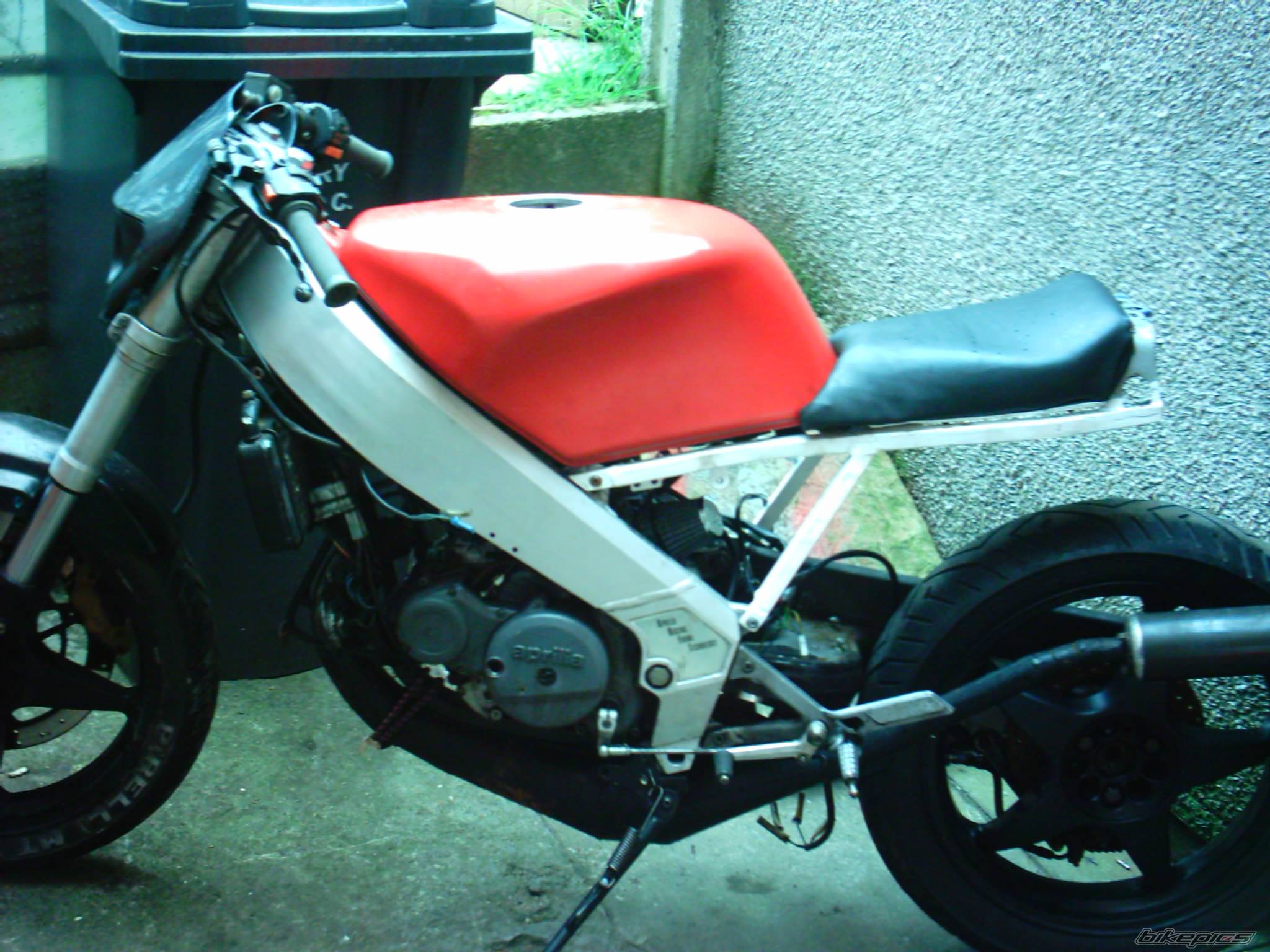 Photo 232951