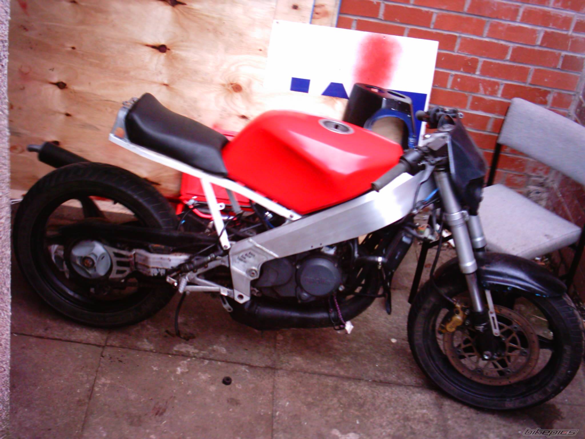 Photo 232953
