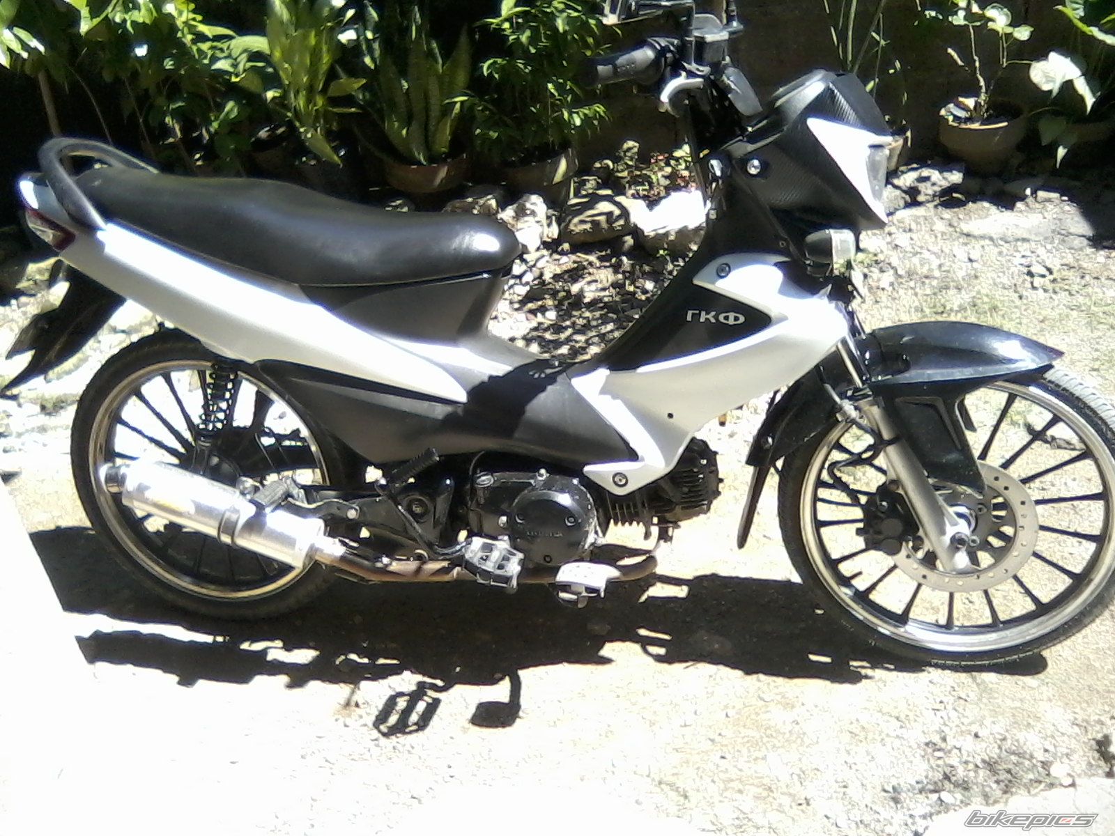 Photo 2329568