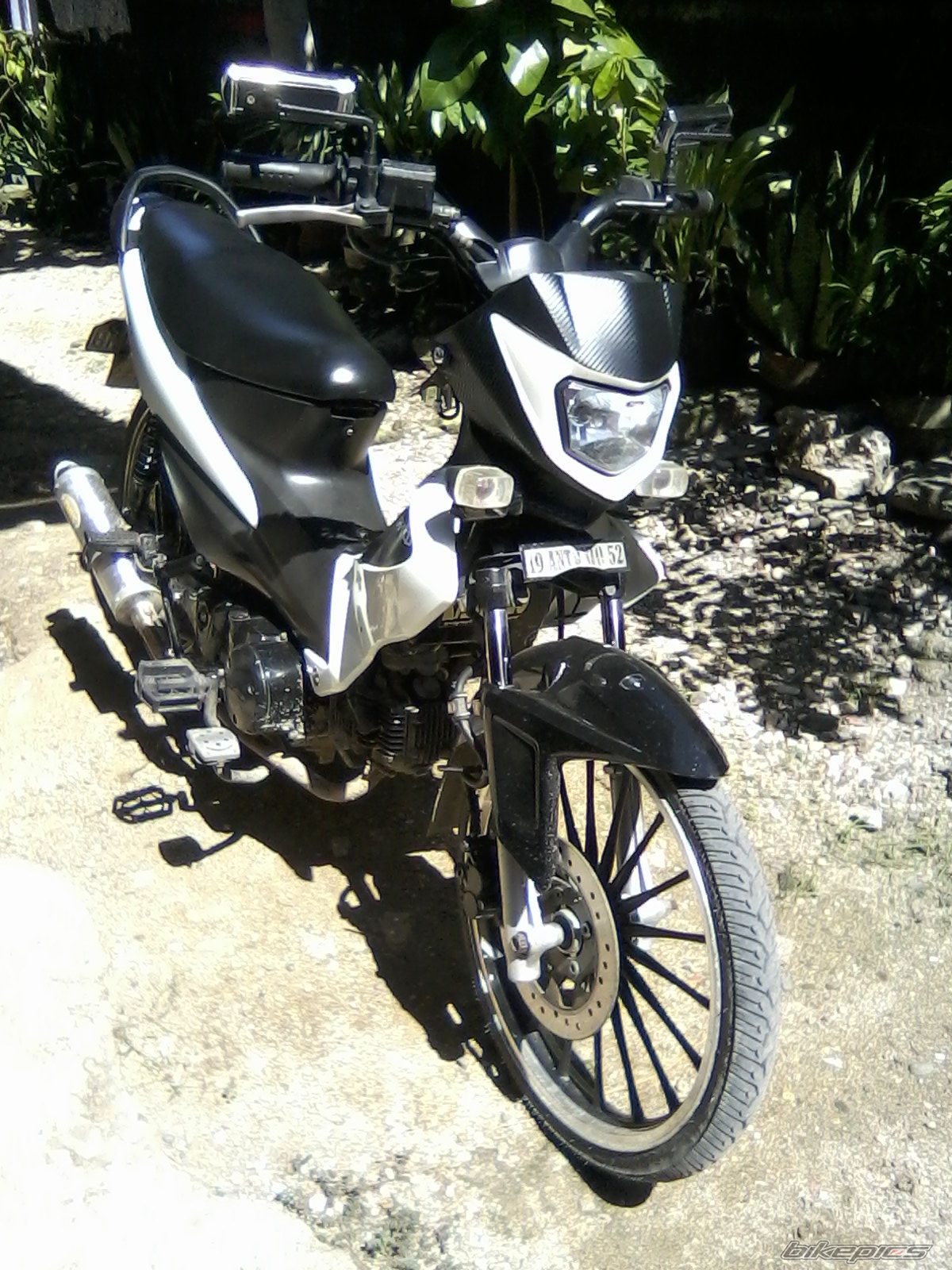 Photo 2329569