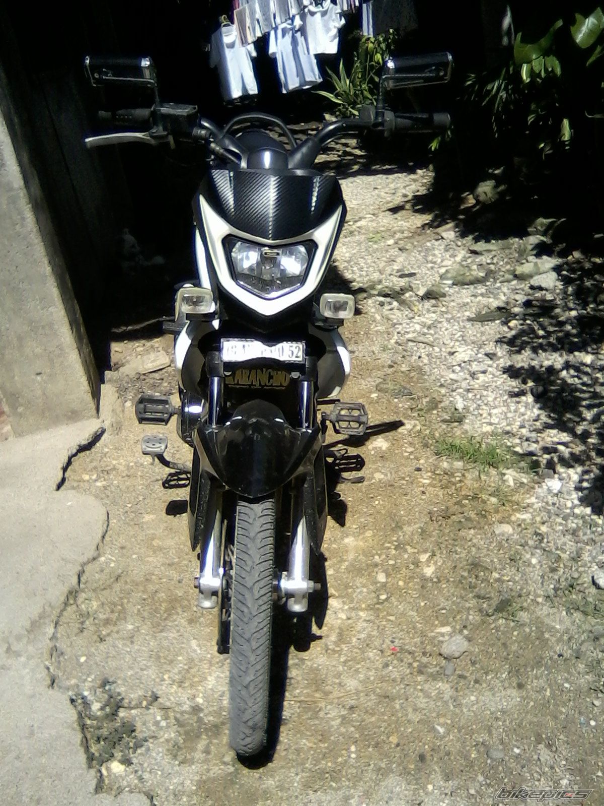 Photo 2329570