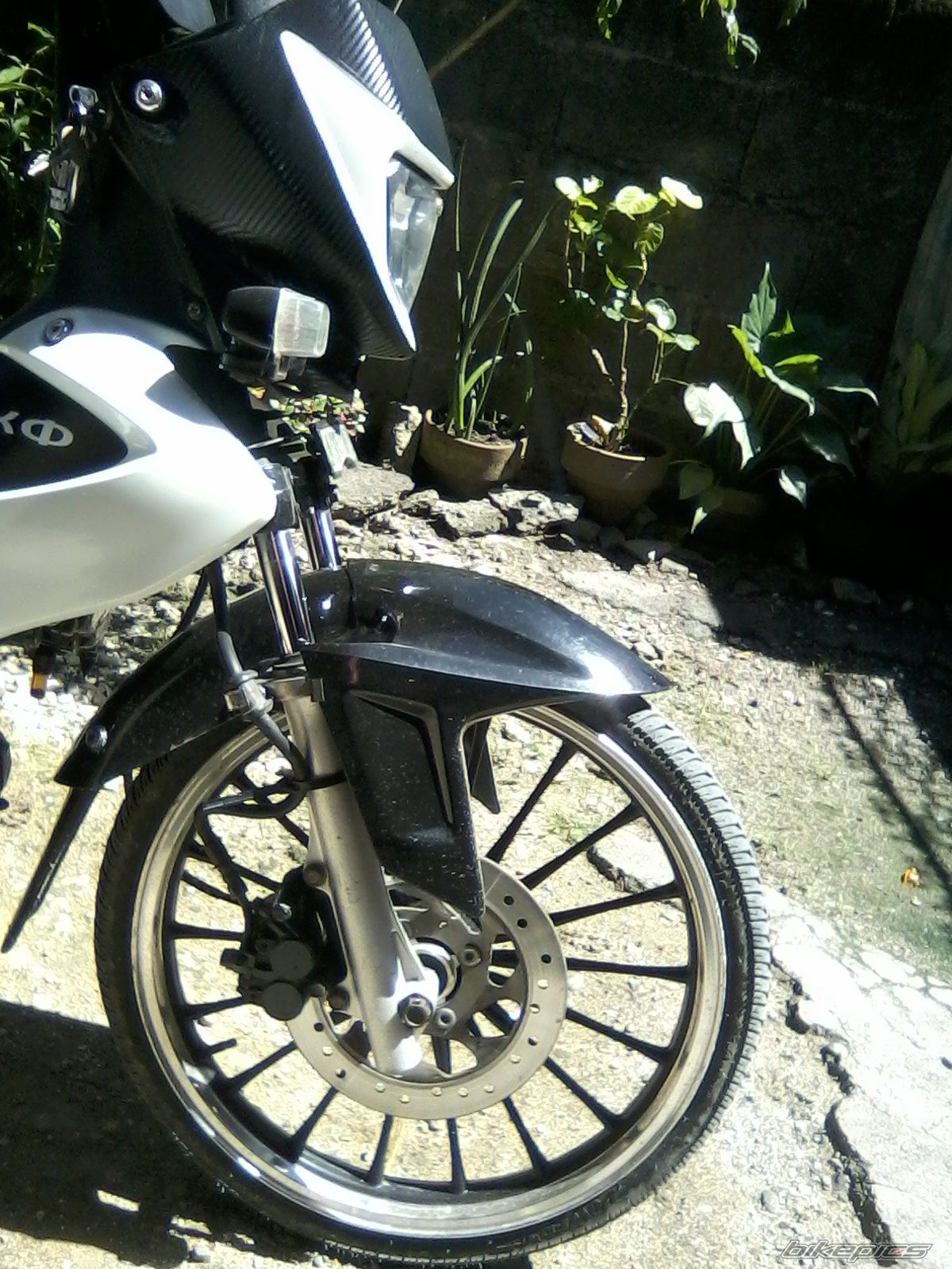 Photo 2329572