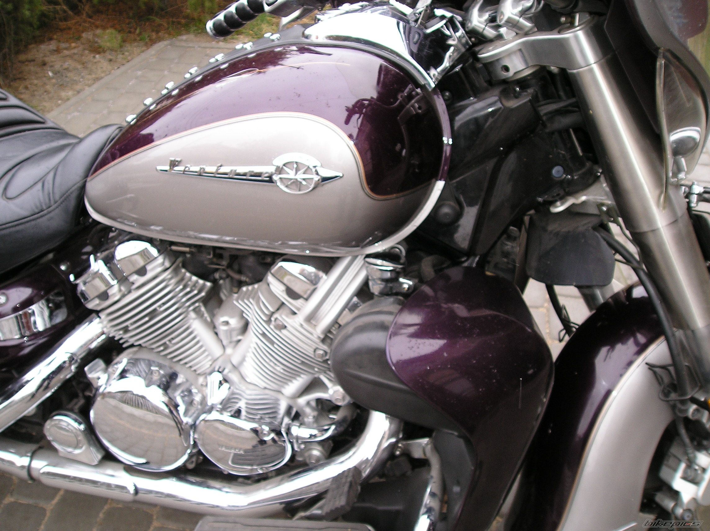 Photo 2329637