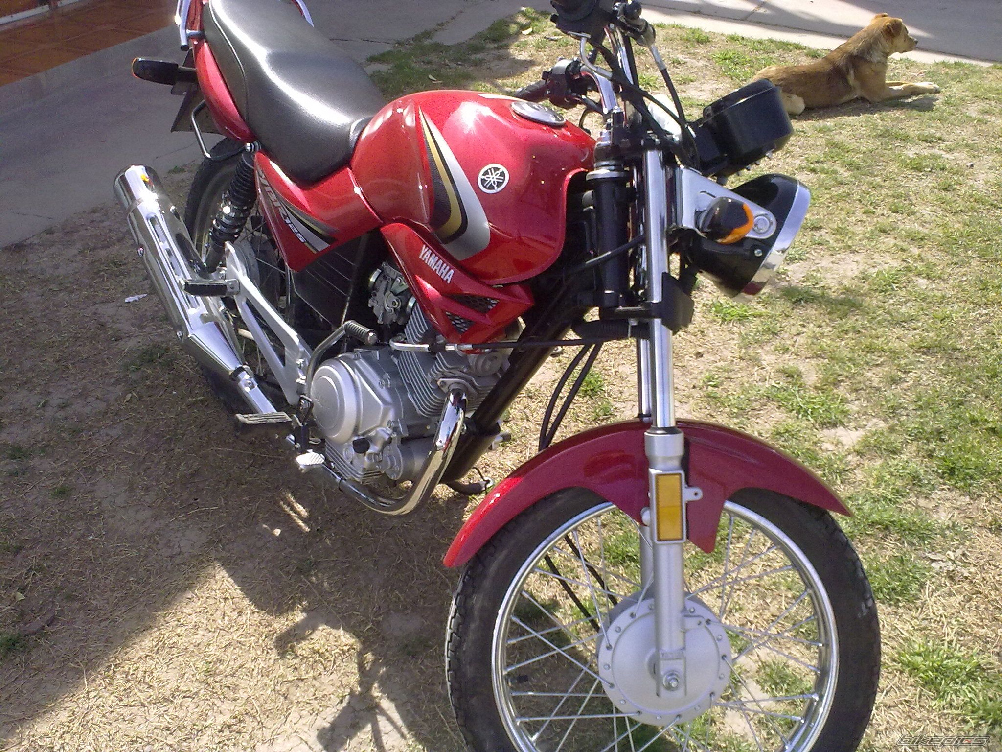 Photo 2329701