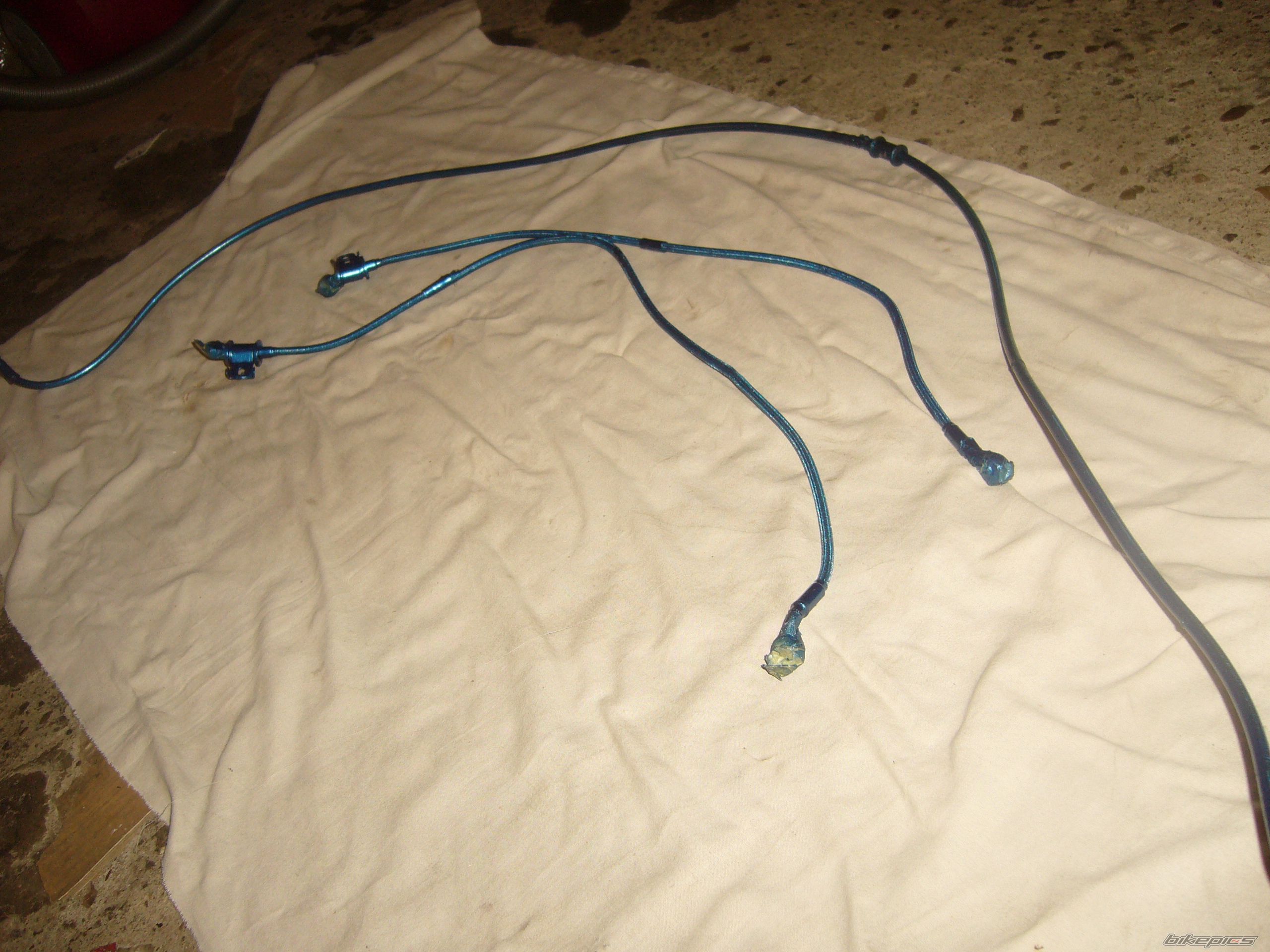 Photo 2329852