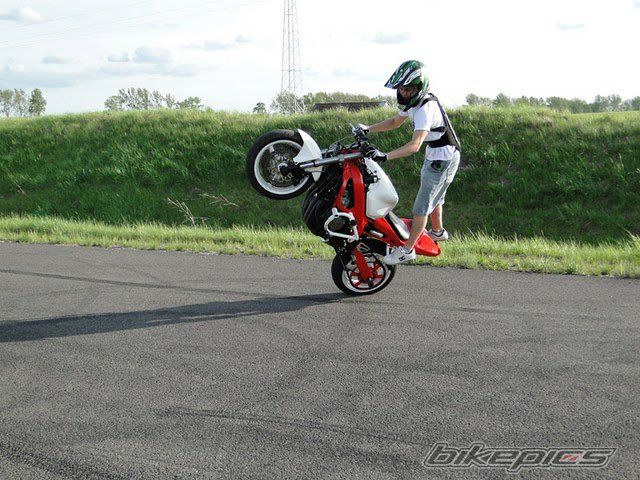 Photo 2329855