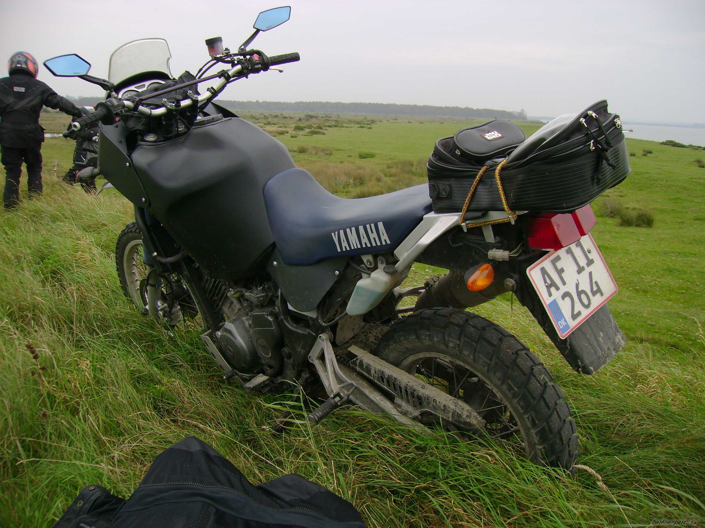 Photo 2329916