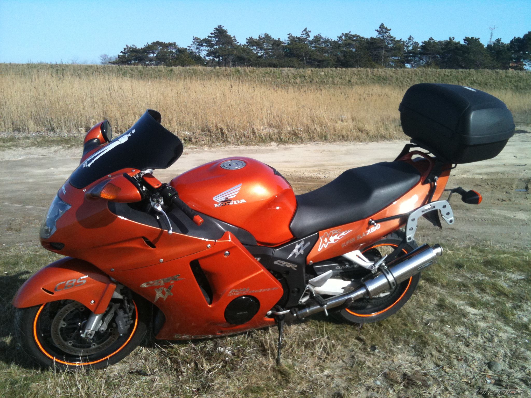 Photo 2329935