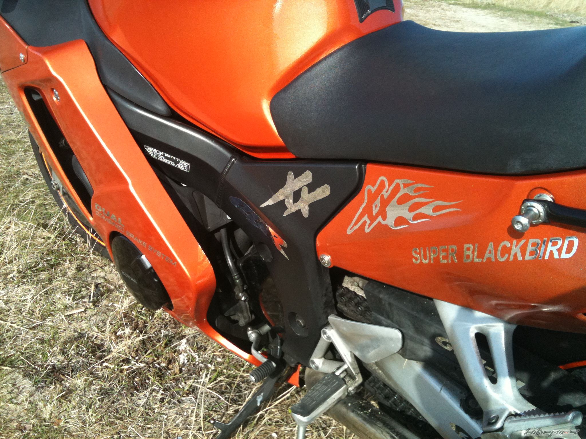 Photo 2329937