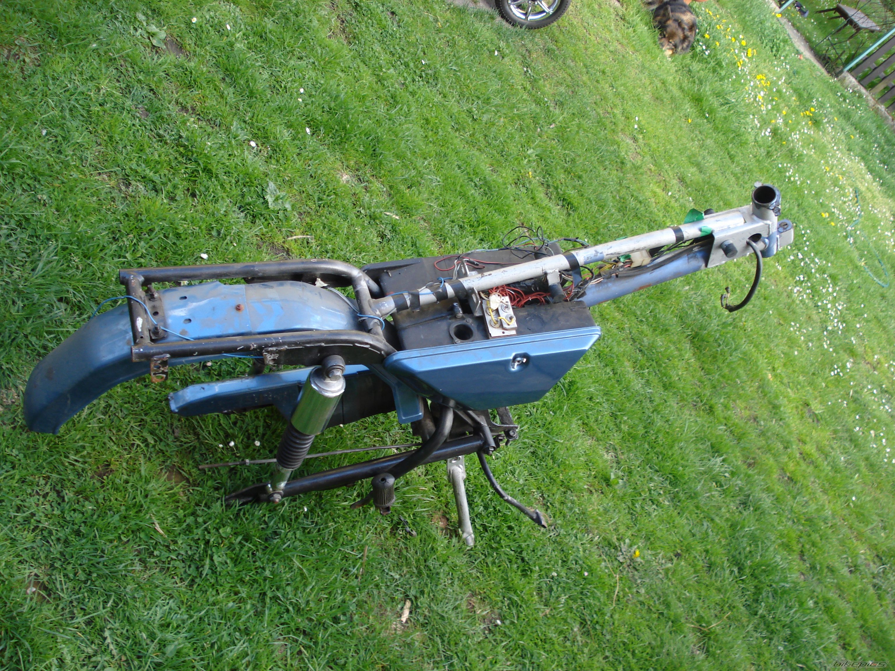 Photo 2329946