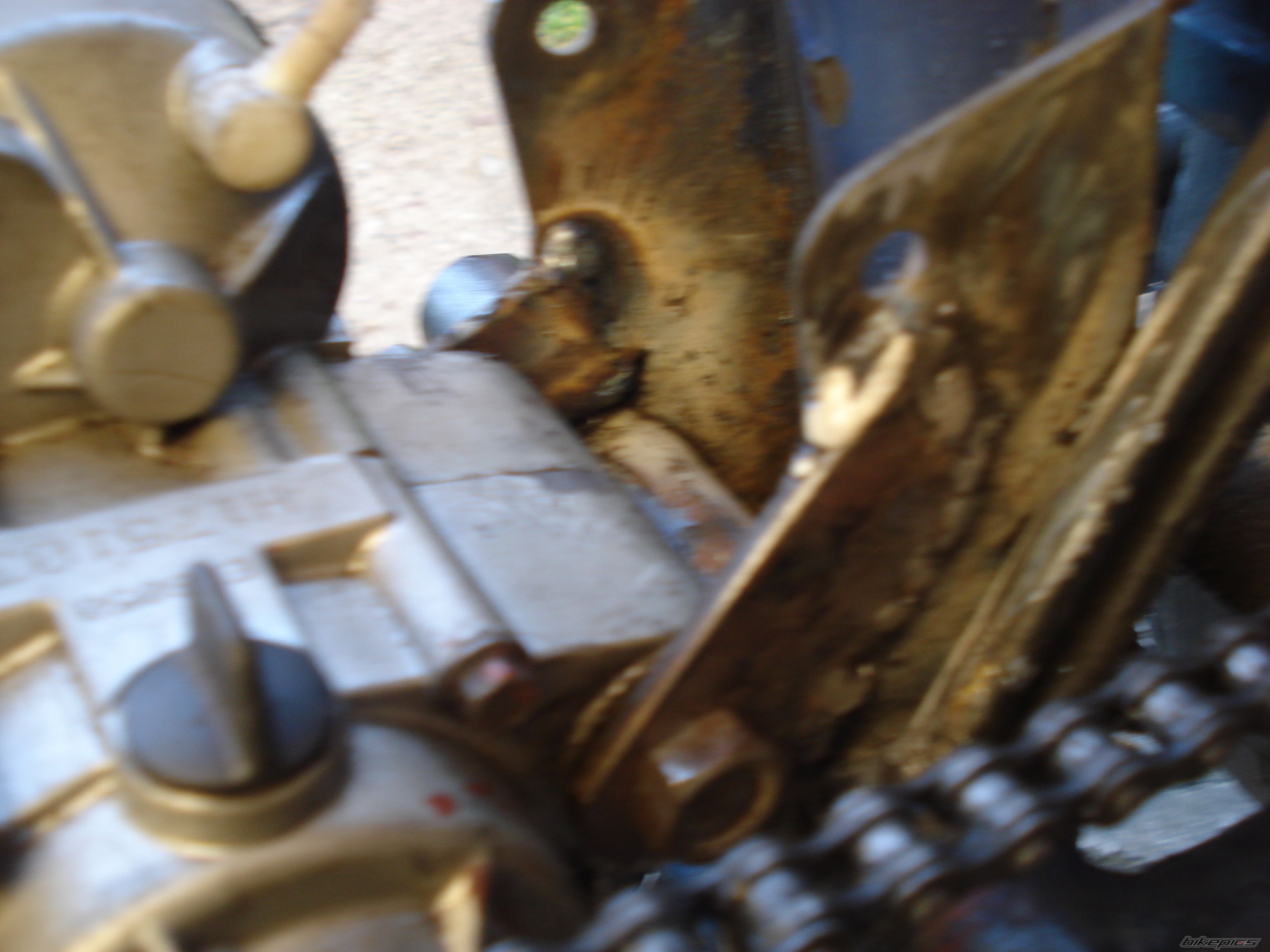 Photo 2330017