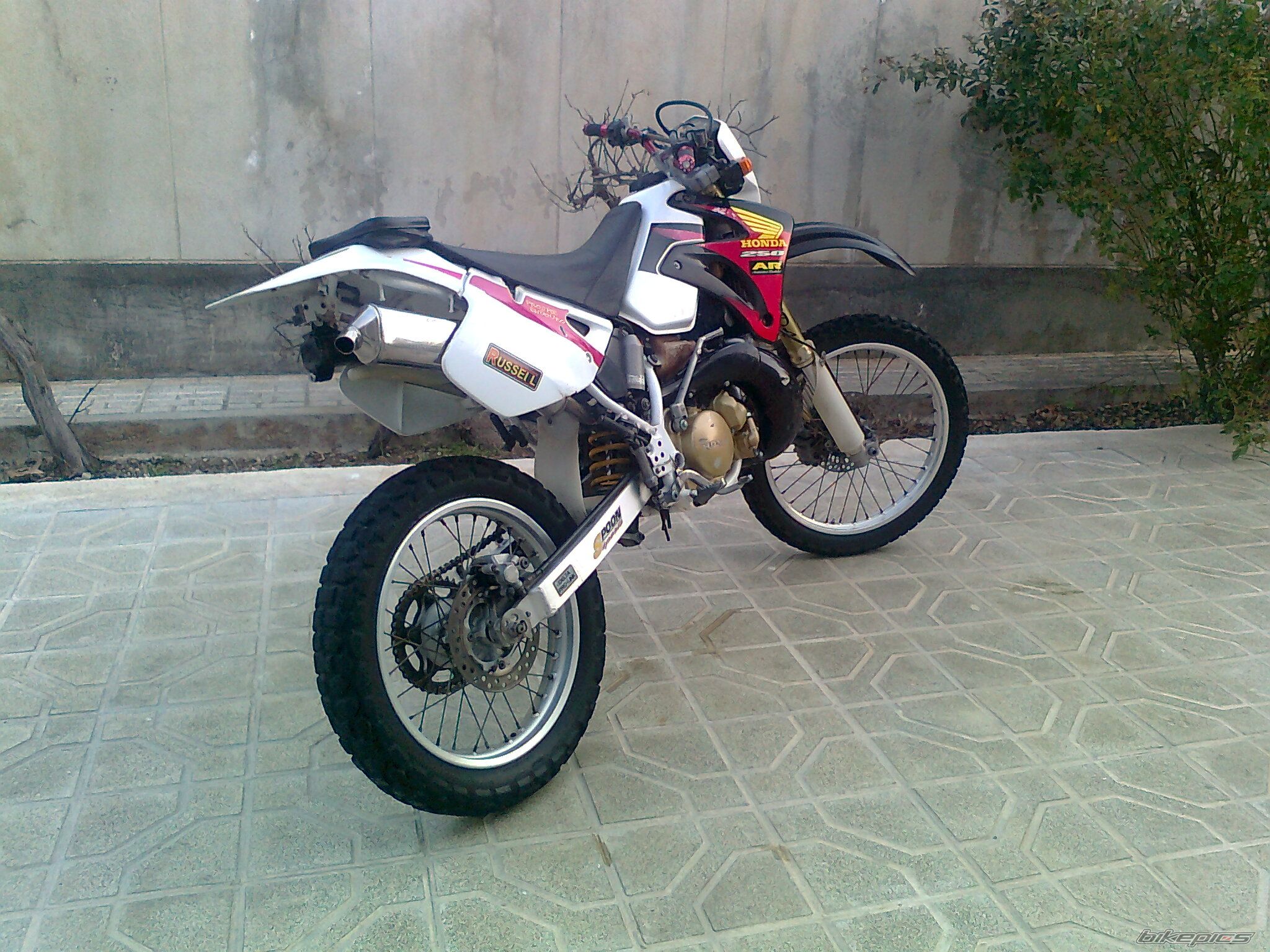 Photo 2330192