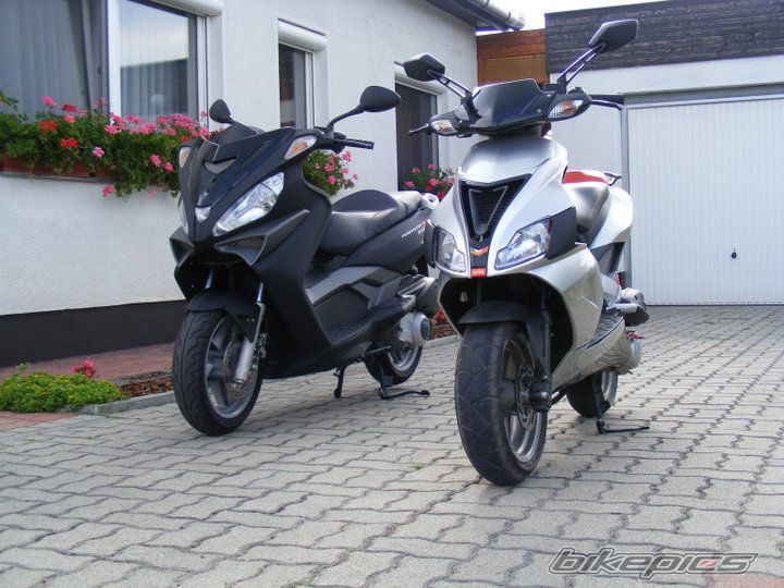 Photo 2330374