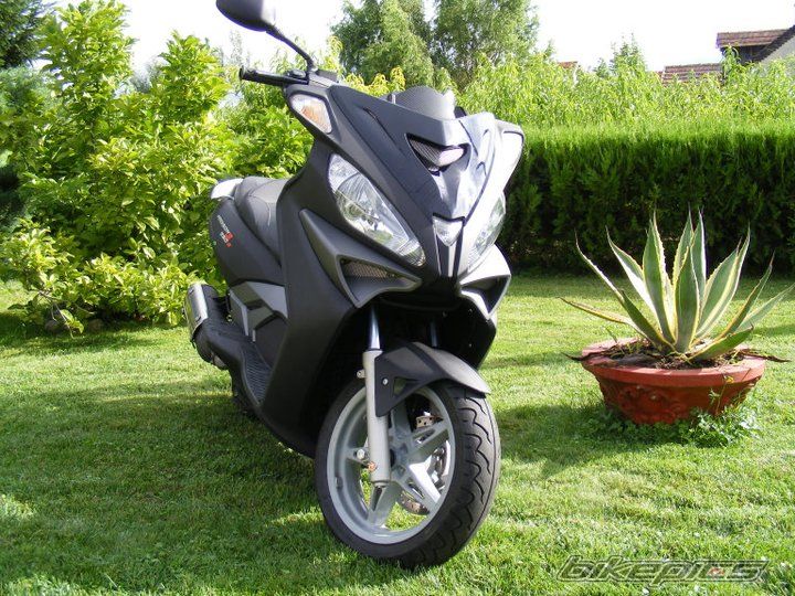 Photo 2330377