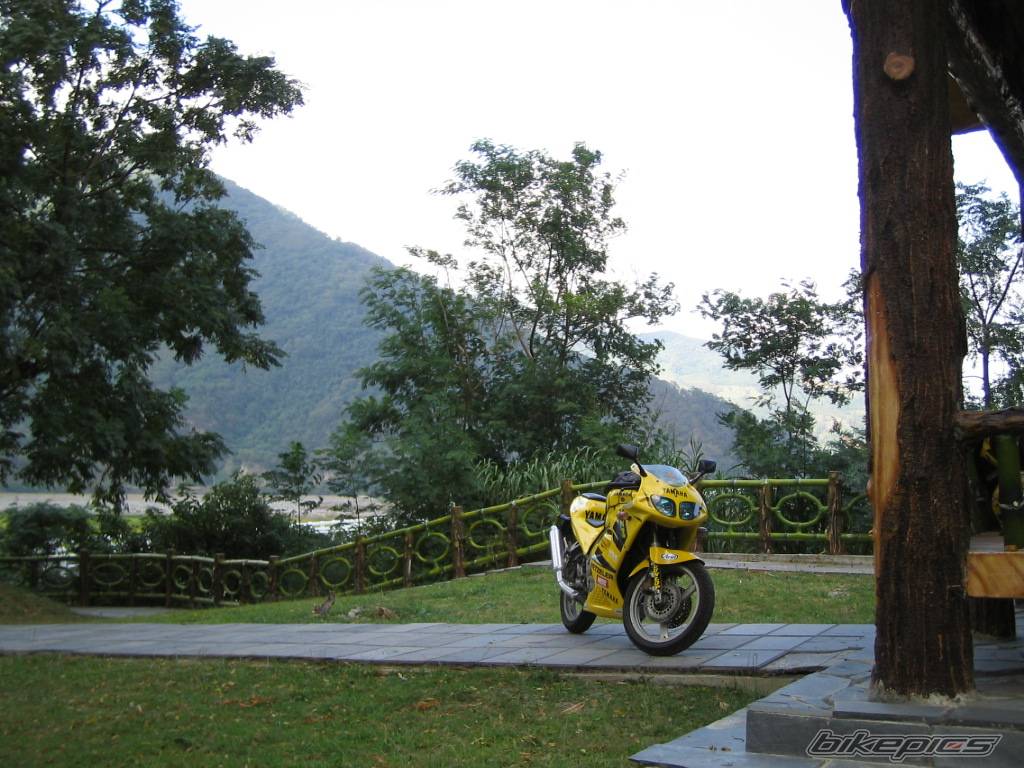Photo 233039