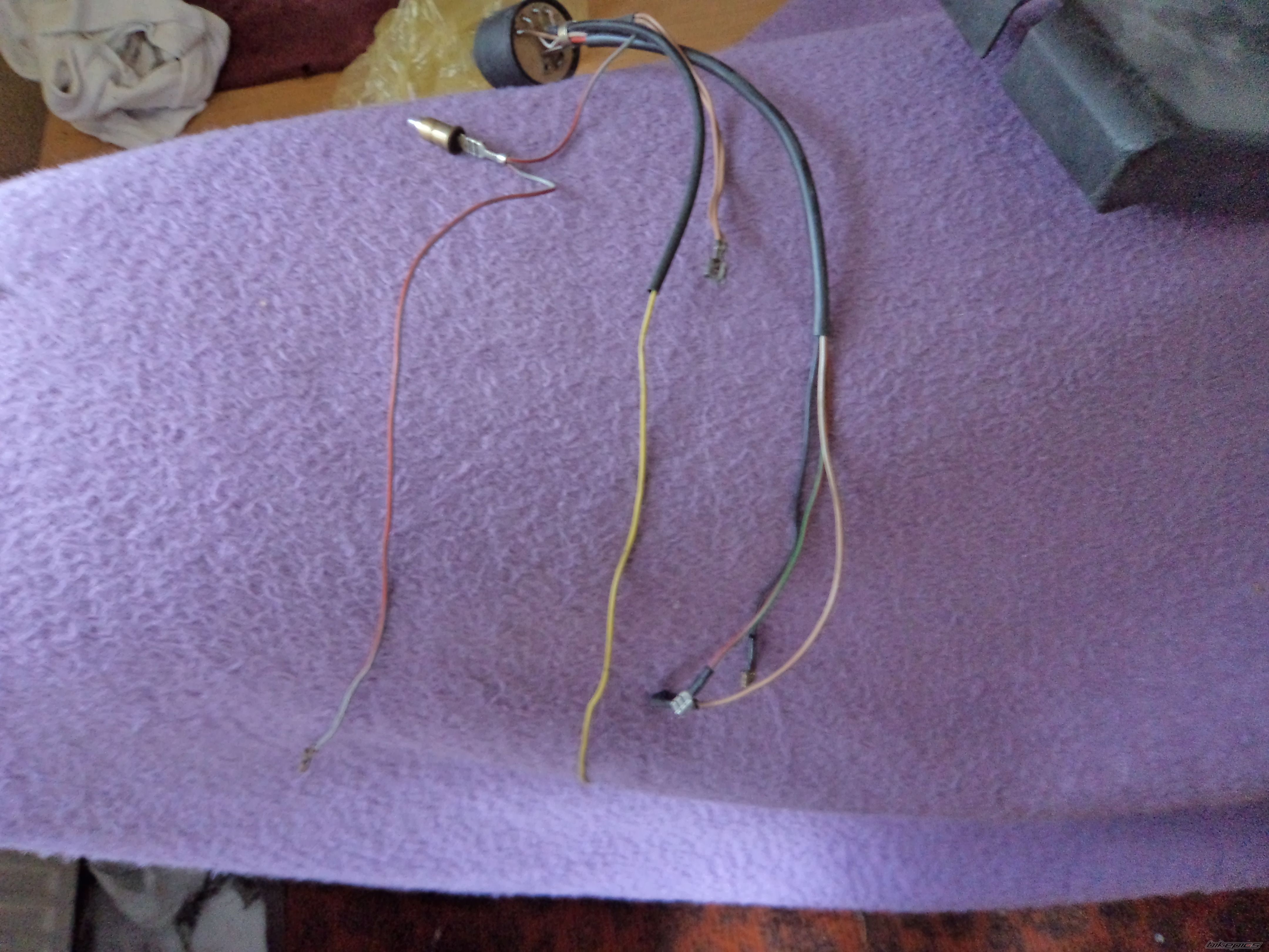 Photo 2330414