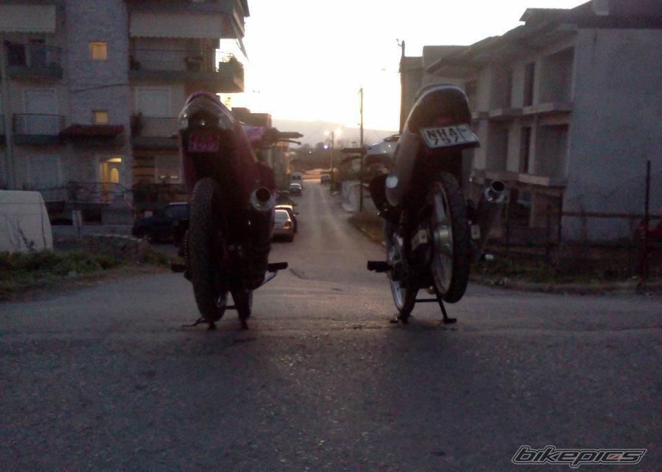 Photo 2330461