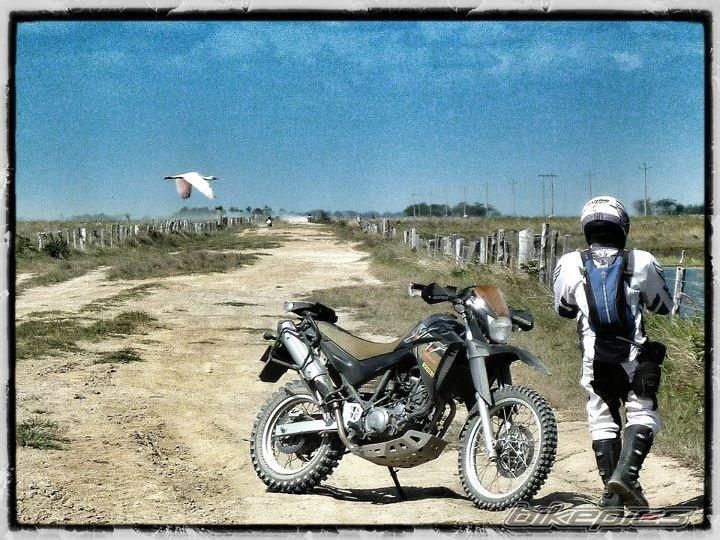 Bike Photo 2330463