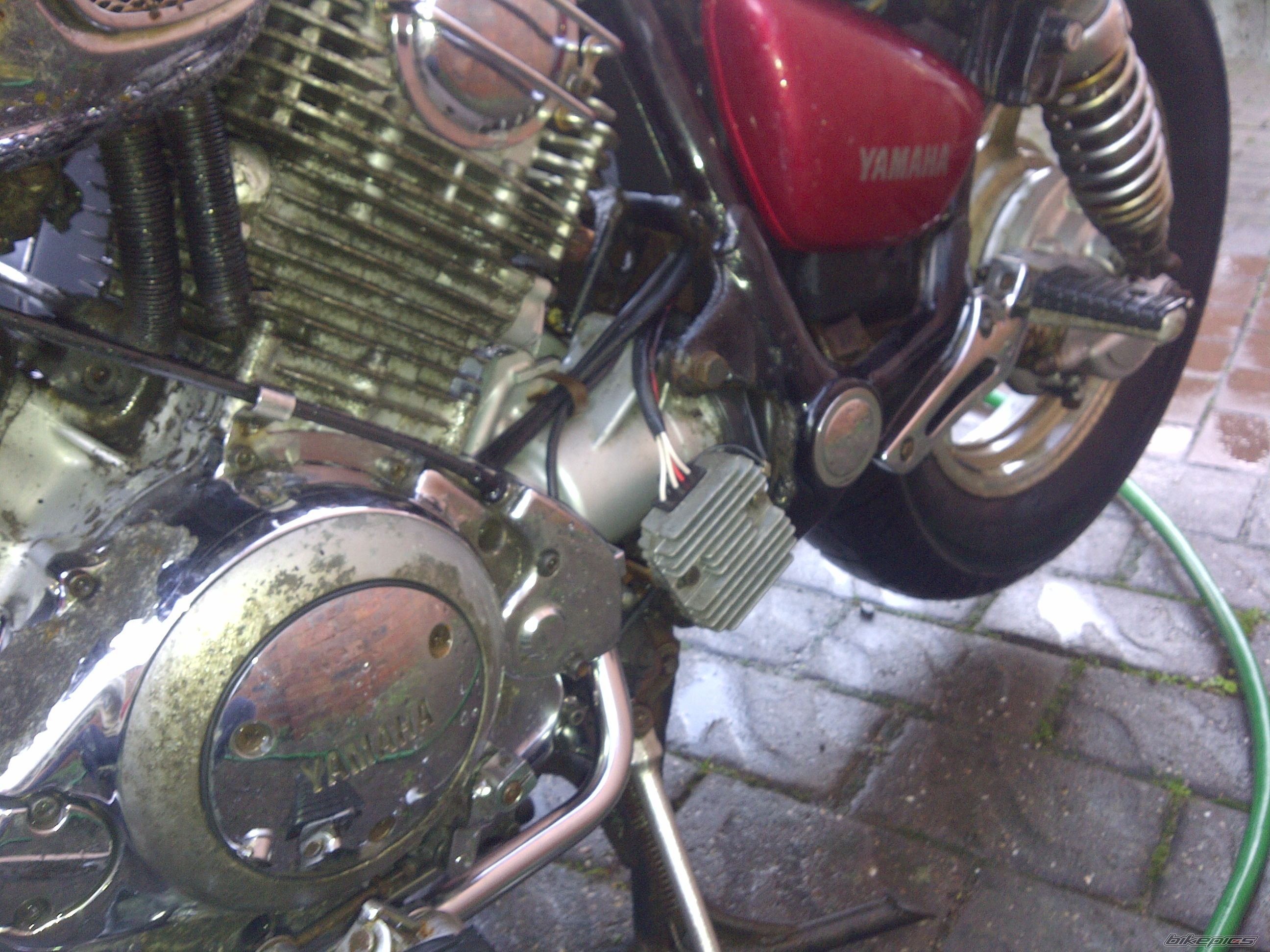 Photo 2330666