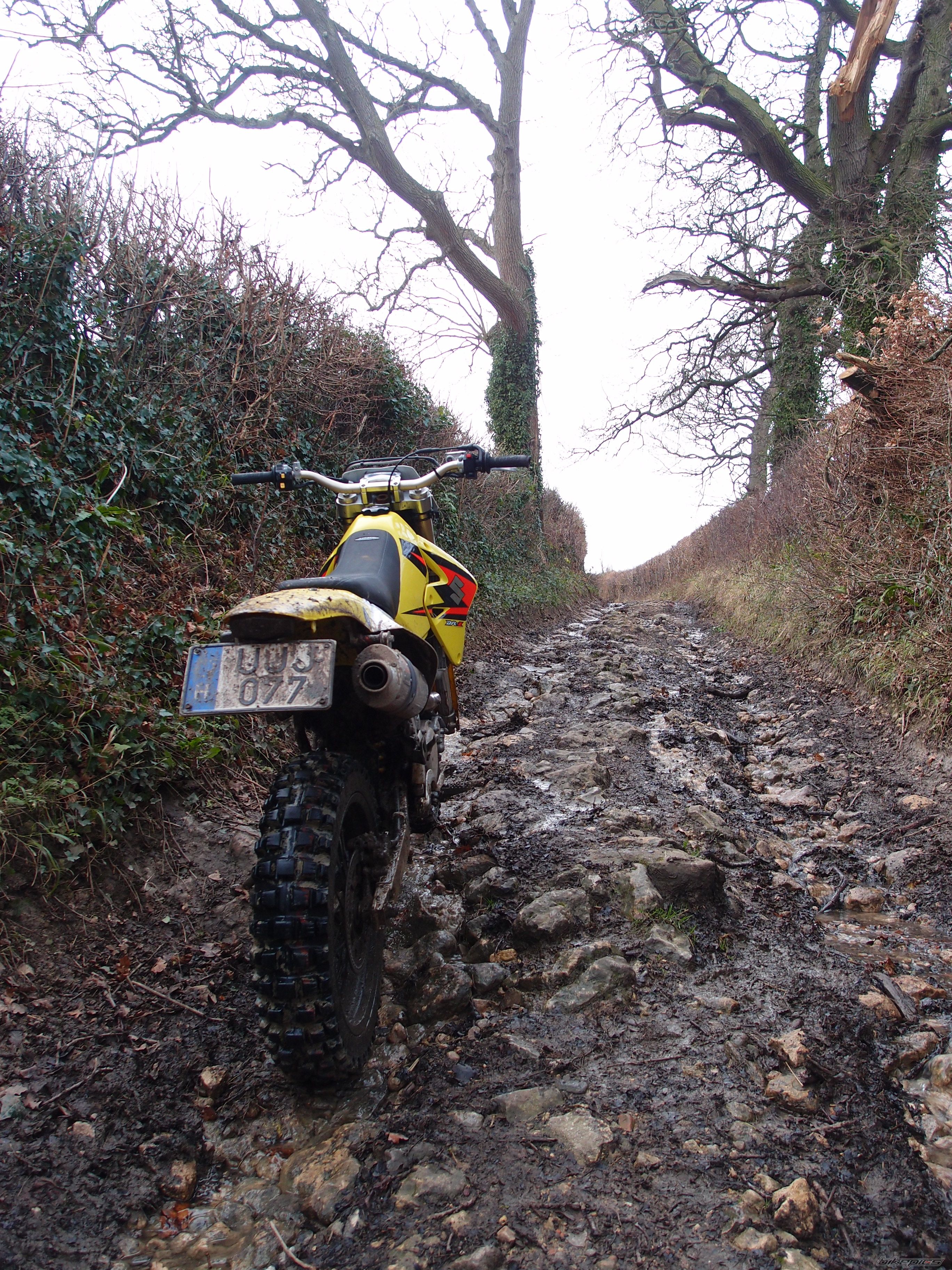 Photo 2330740