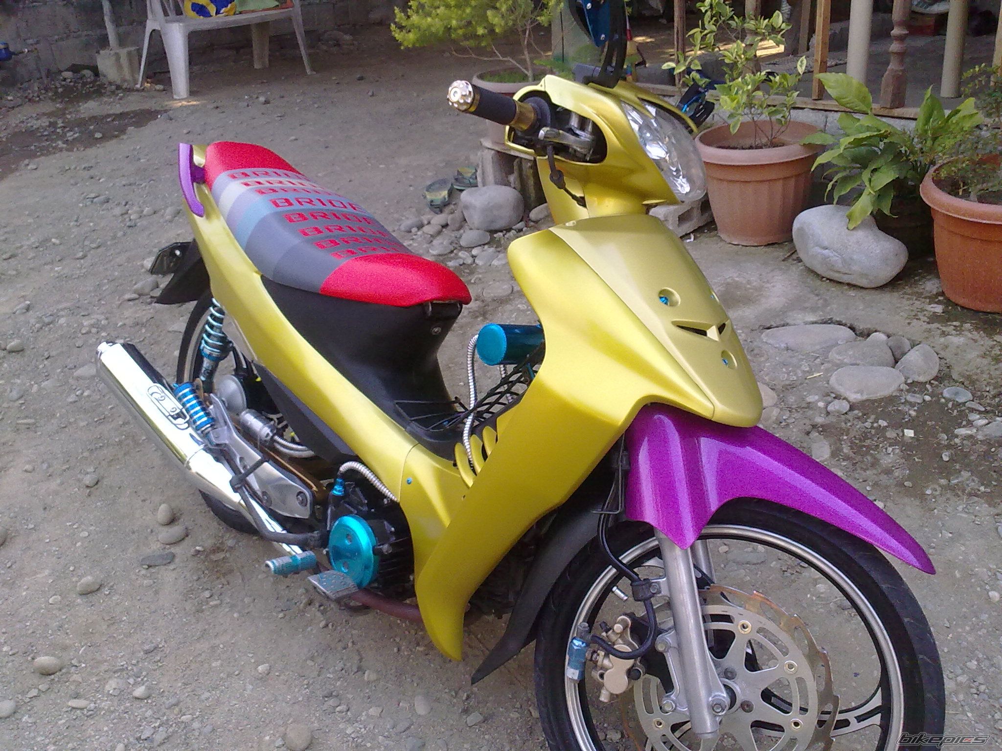Photo 2330754