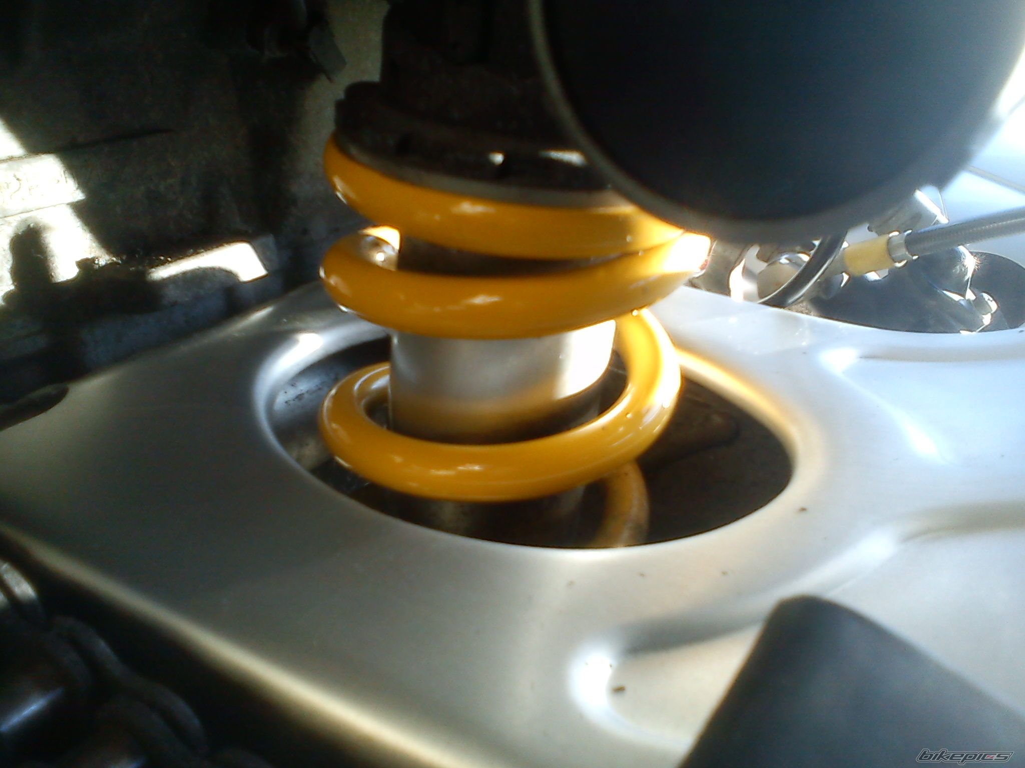 Photo 2330755