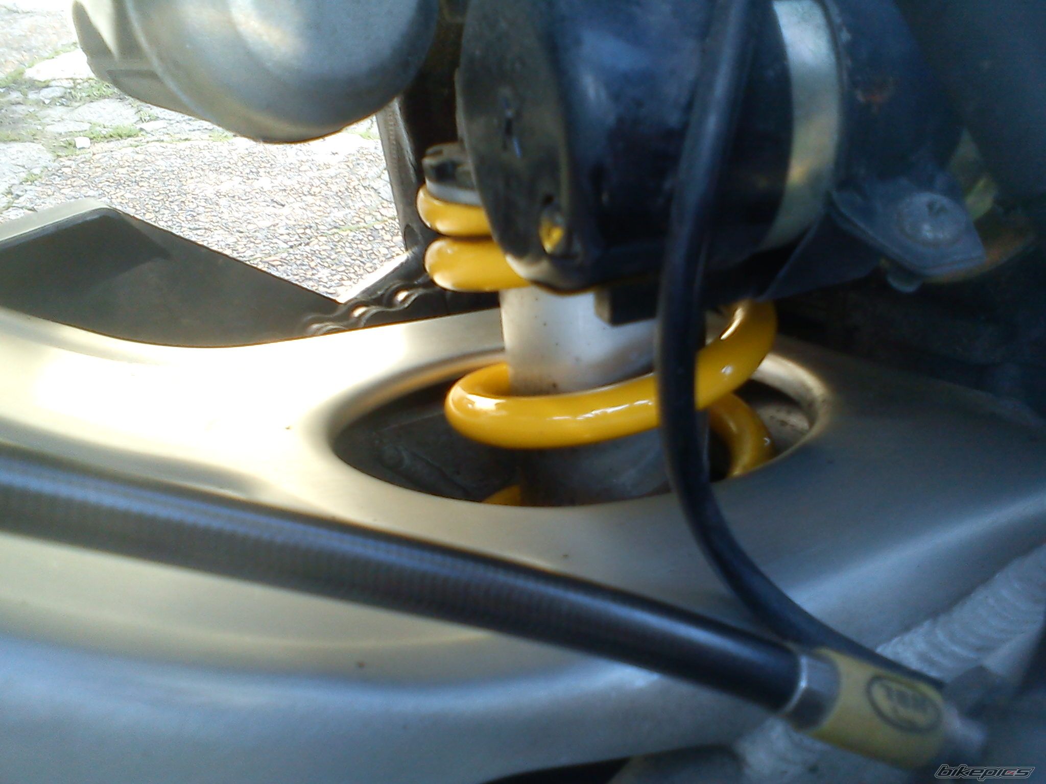 Photo 2330756