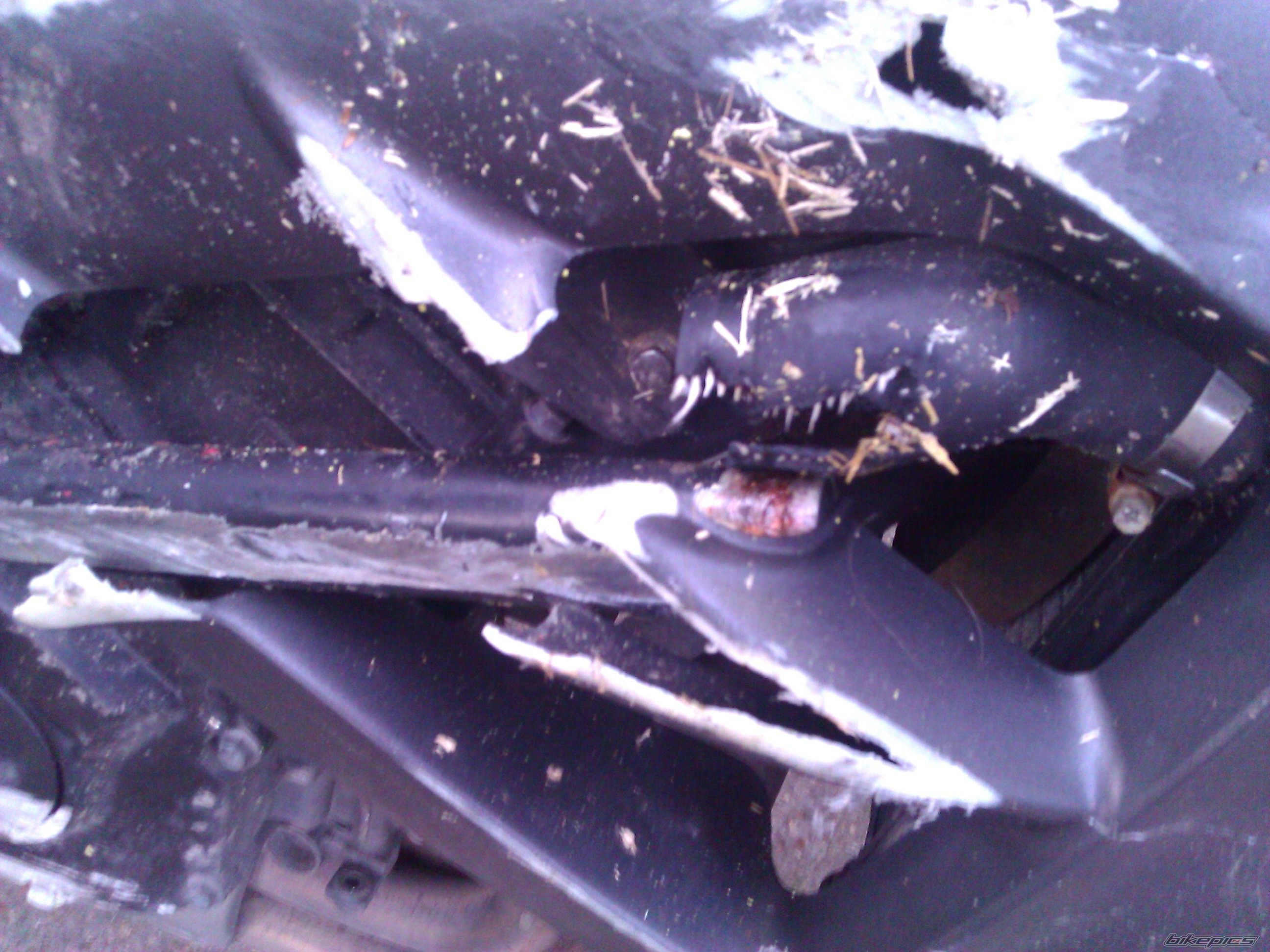 Bike Photo 2330792