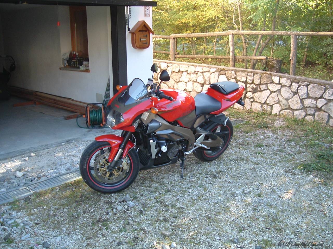 Photo 233082