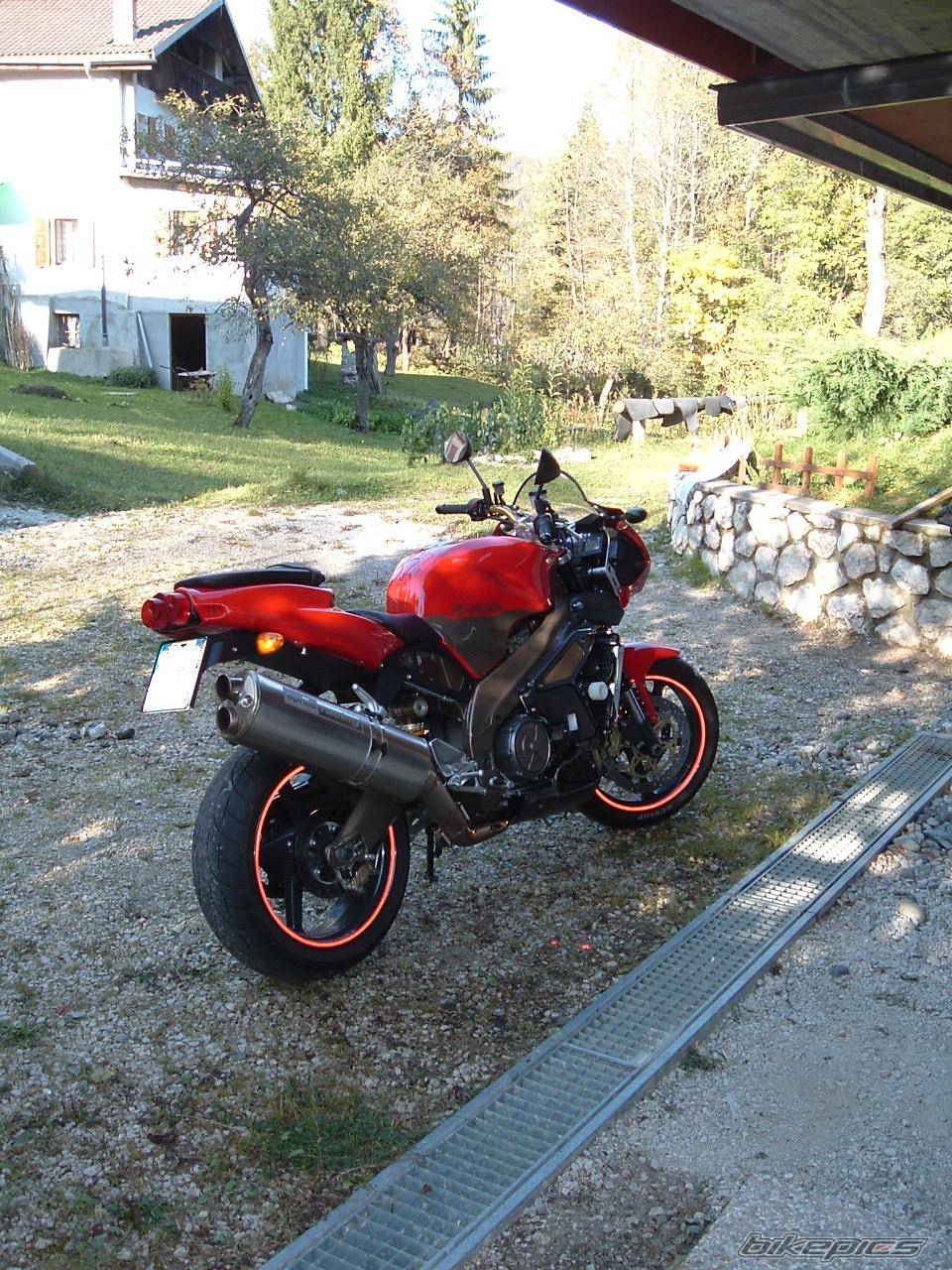 Photo 233083