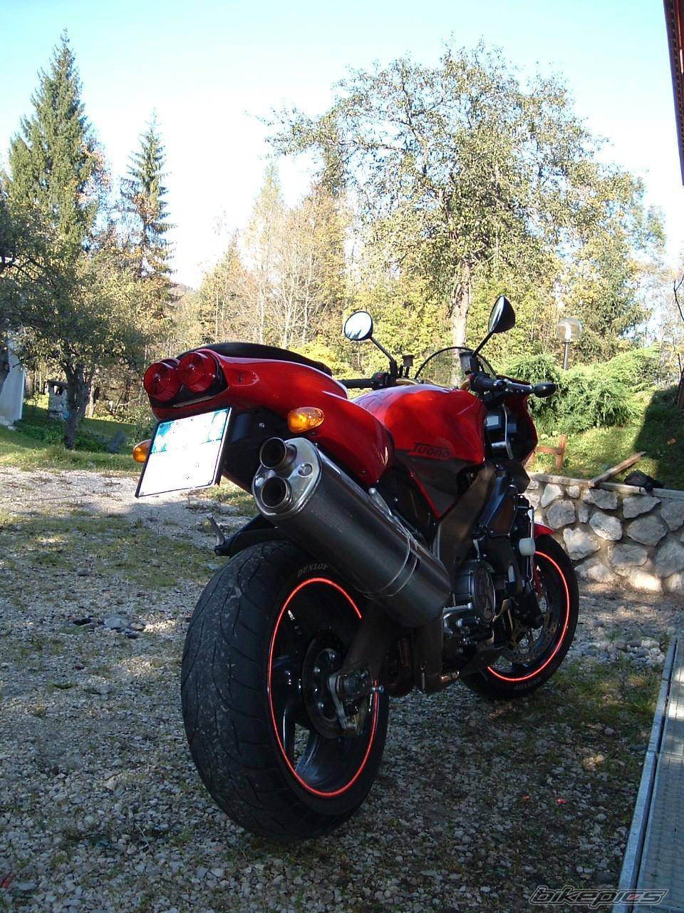 Photo 233085