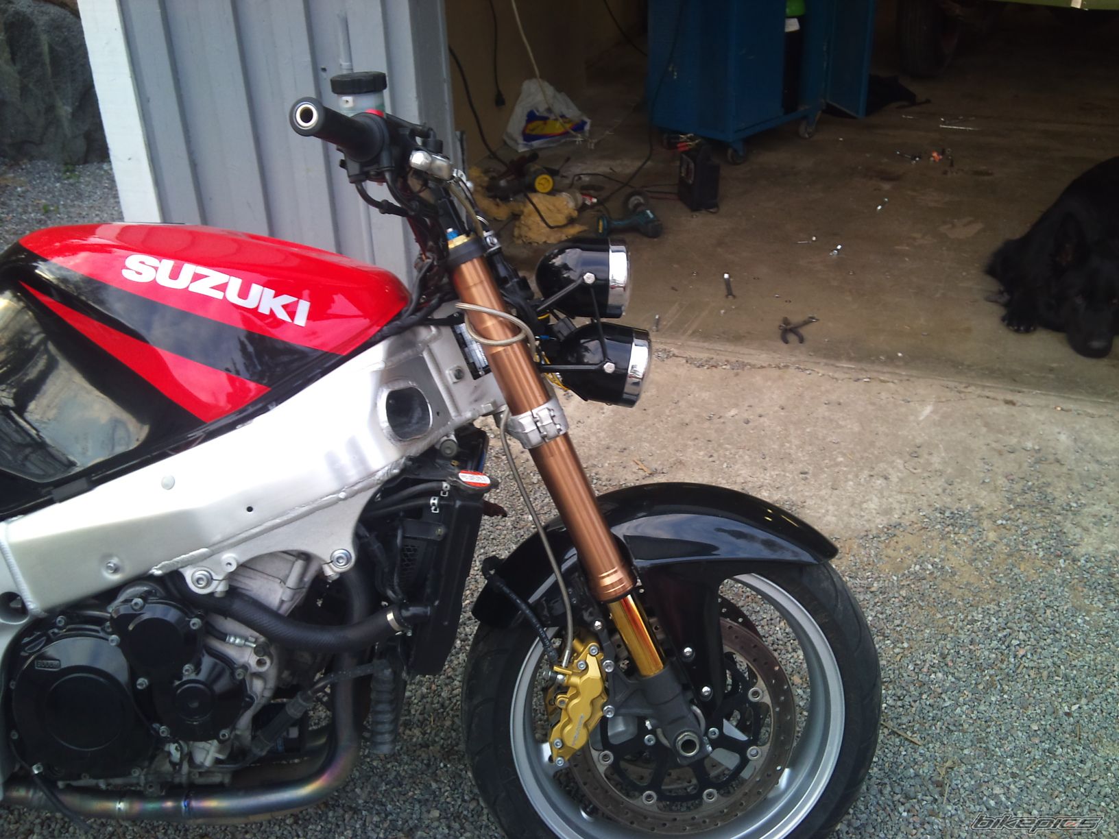 Photo 2330902