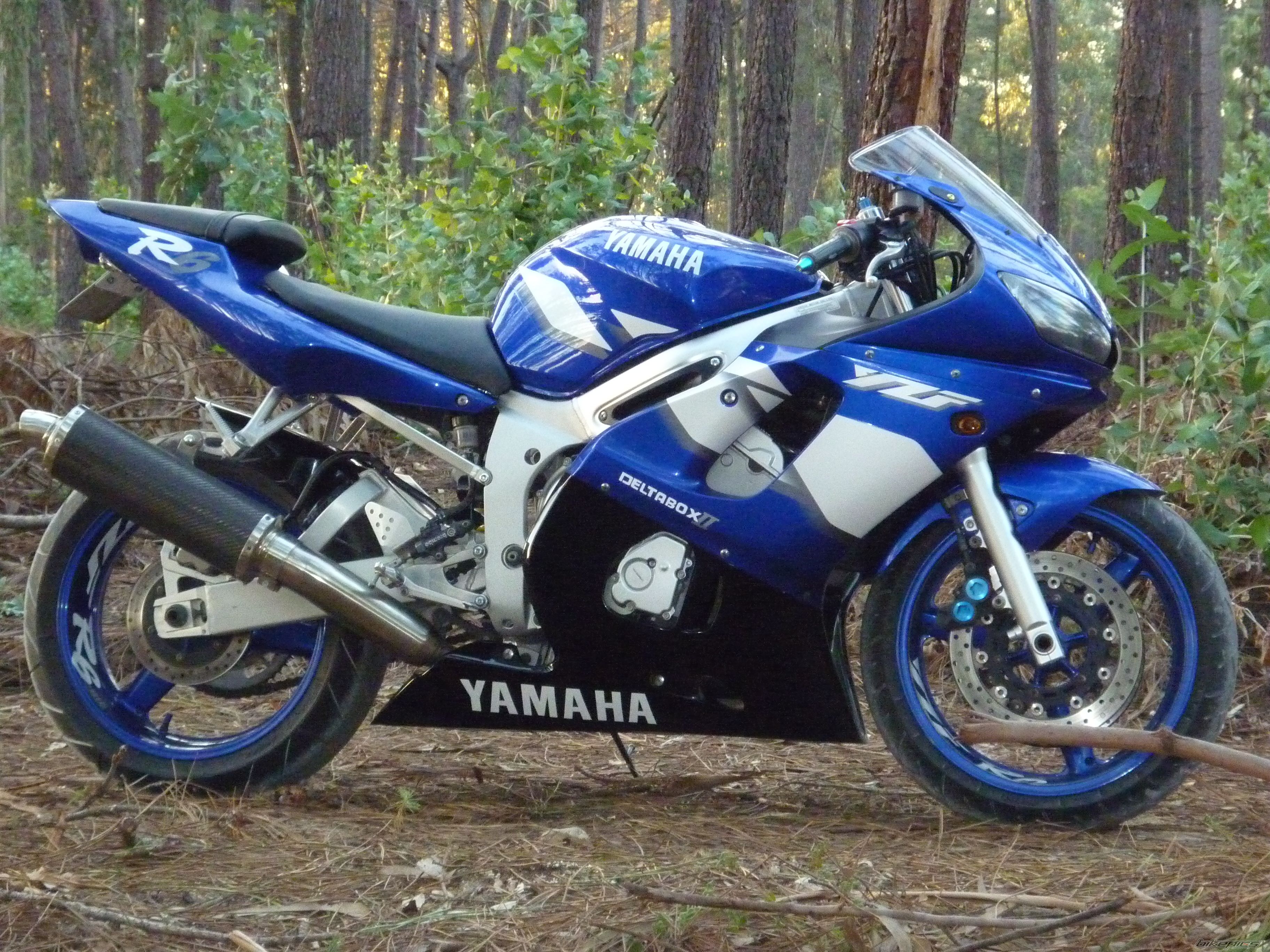 Photo 2330941