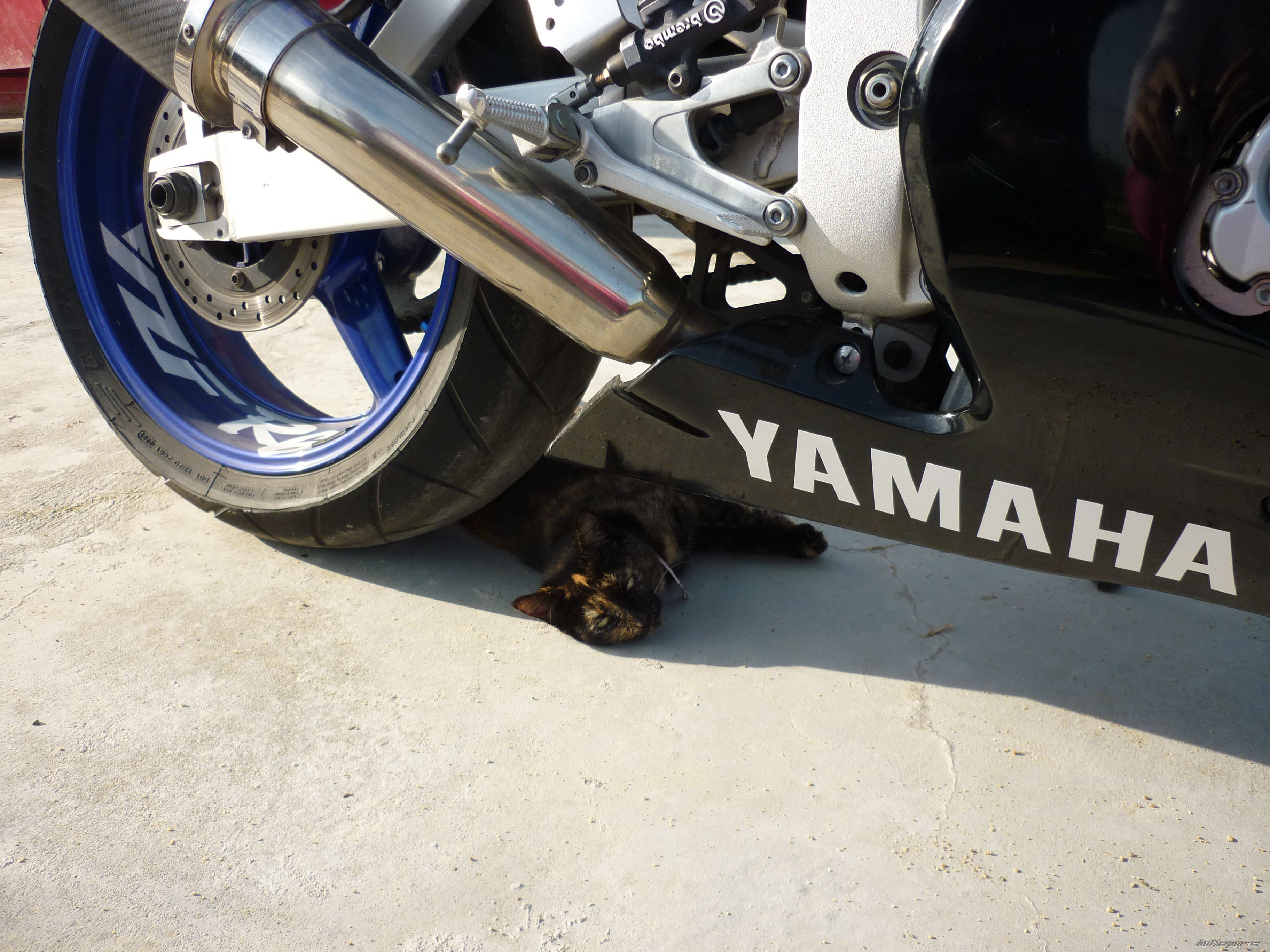 Photo 2330948