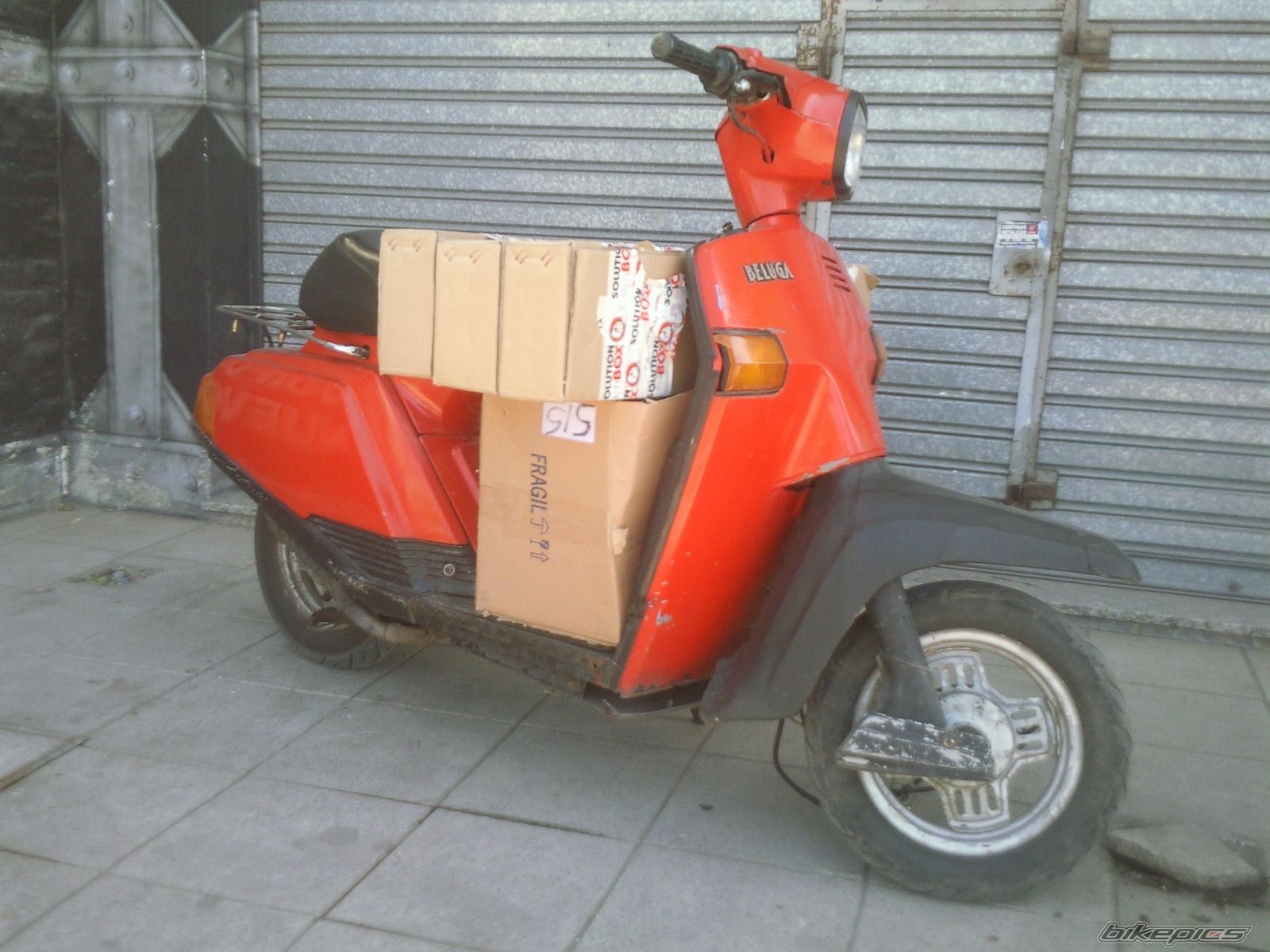 Photo 2330962
