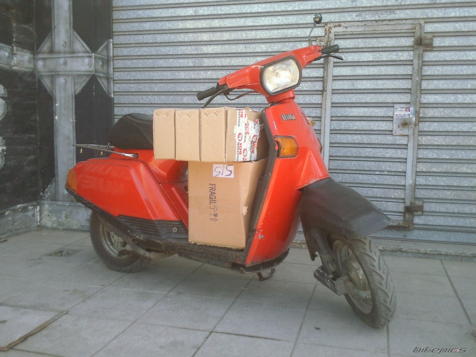 Photo 2330963