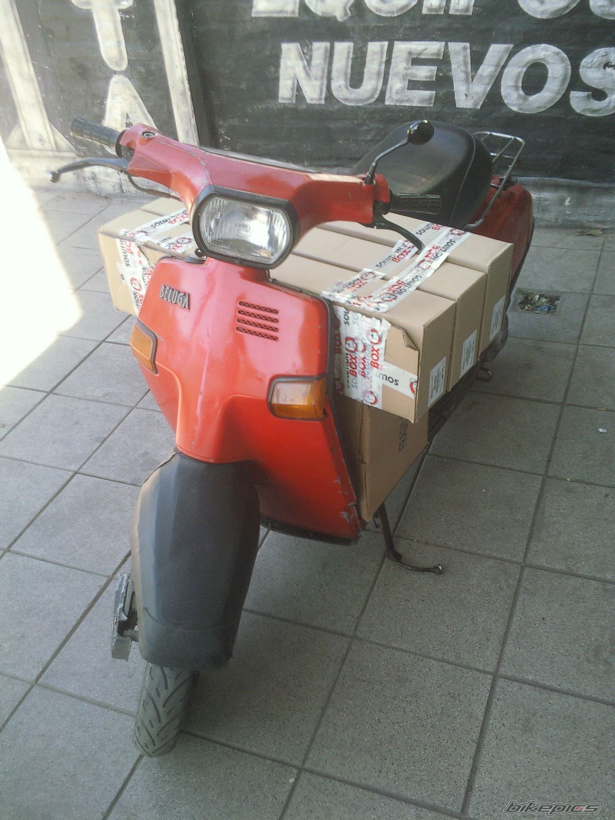 Photo 2330964