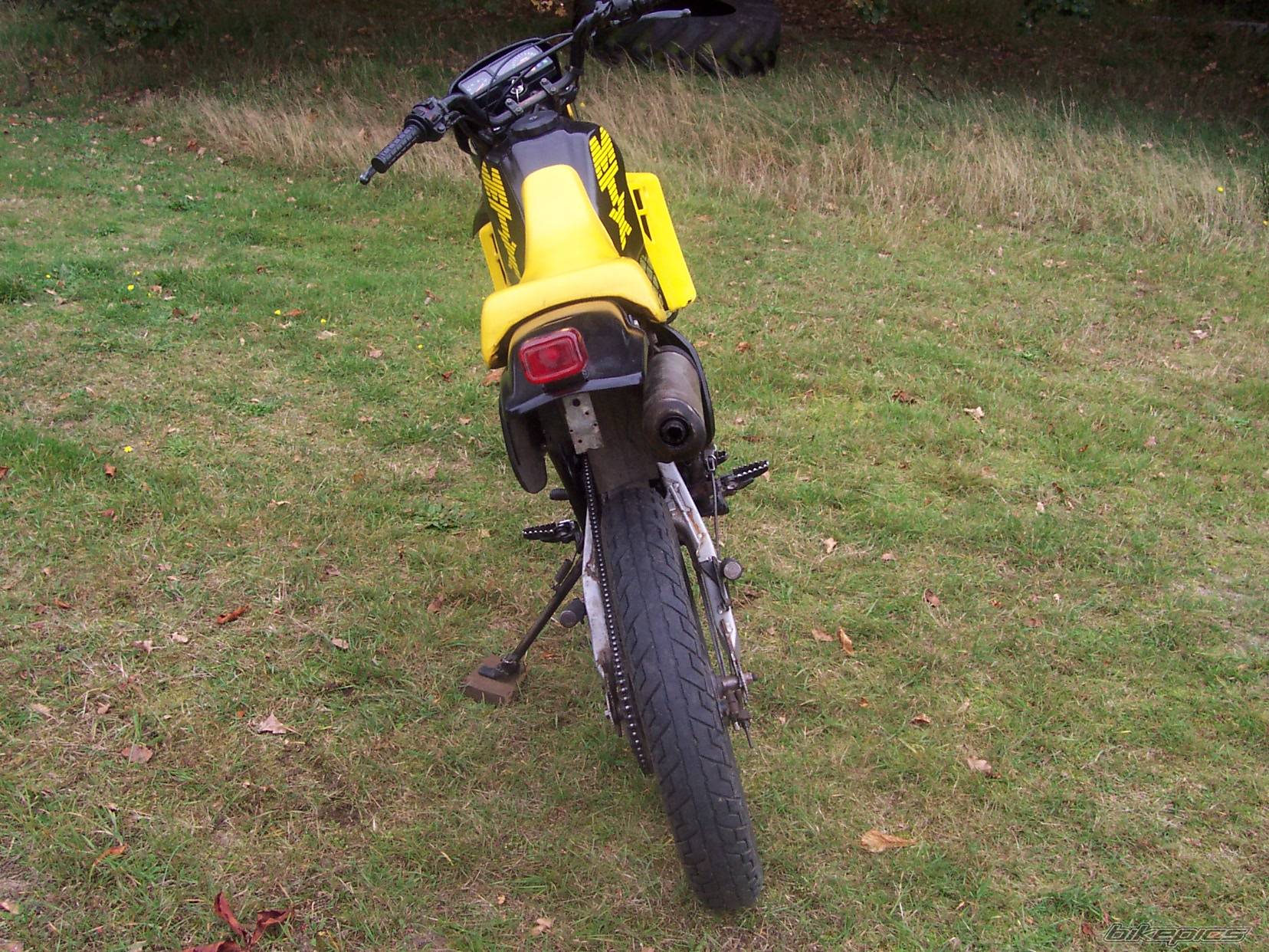 Photo 233097