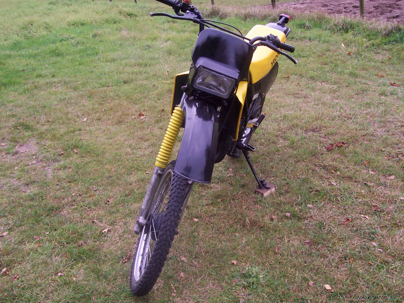 Photo 233099