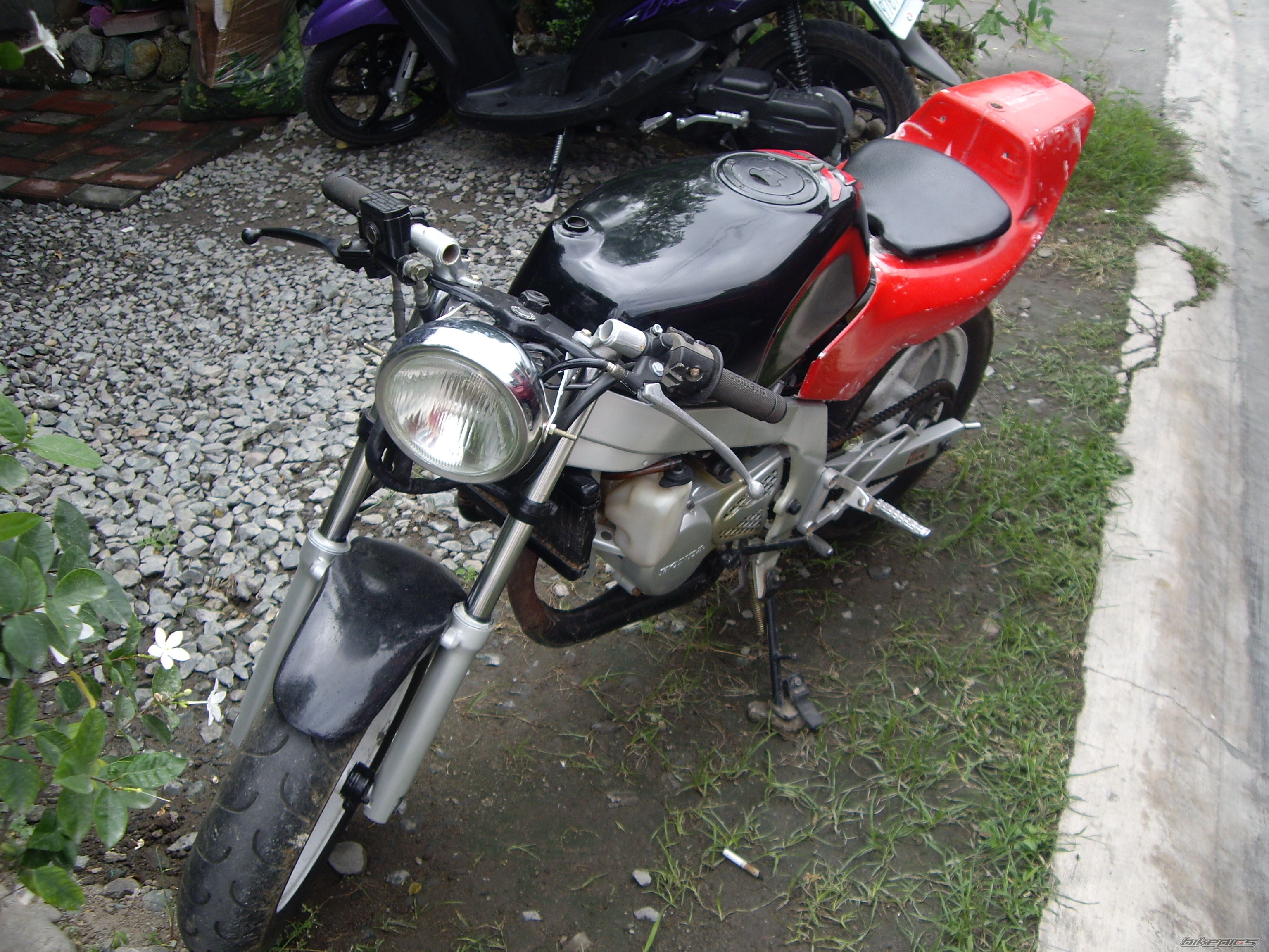 Photo 2330993