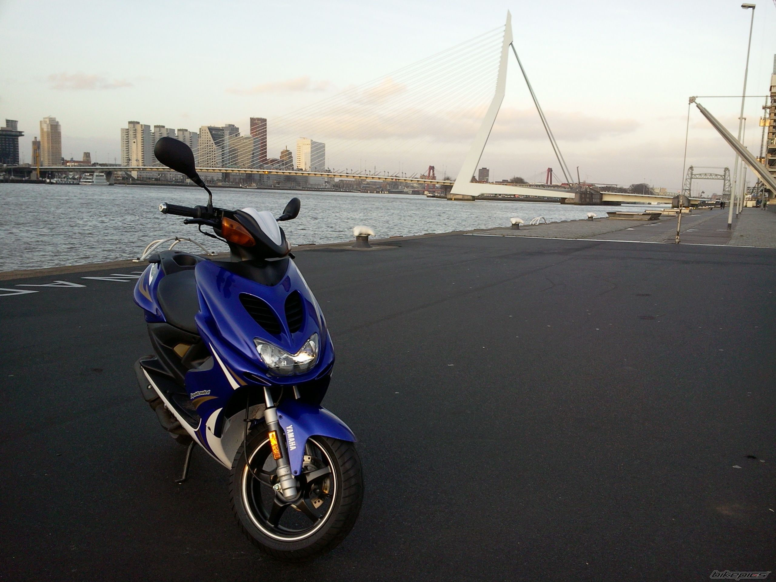 Photo 2331020